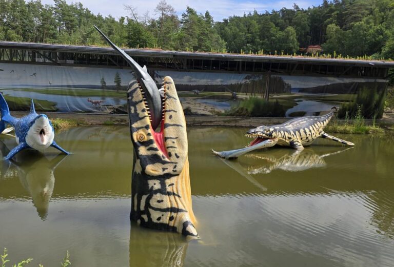 _04_wesling_nachhaltigkeit_dinopark_D